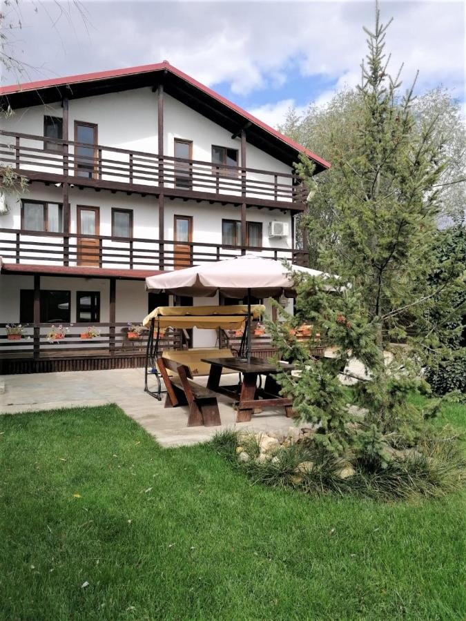 Hotel Casa Carp Calarasi Extérieur photo