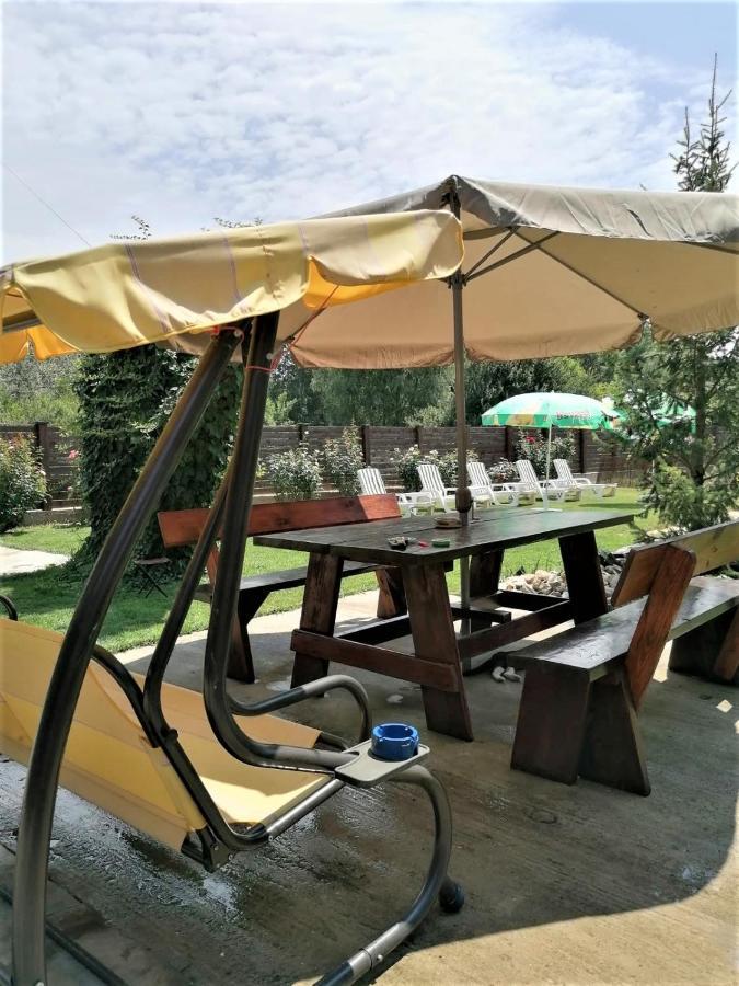 Hotel Casa Carp Calarasi Extérieur photo