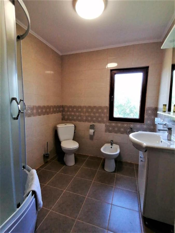 Hotel Casa Carp Calarasi Extérieur photo
