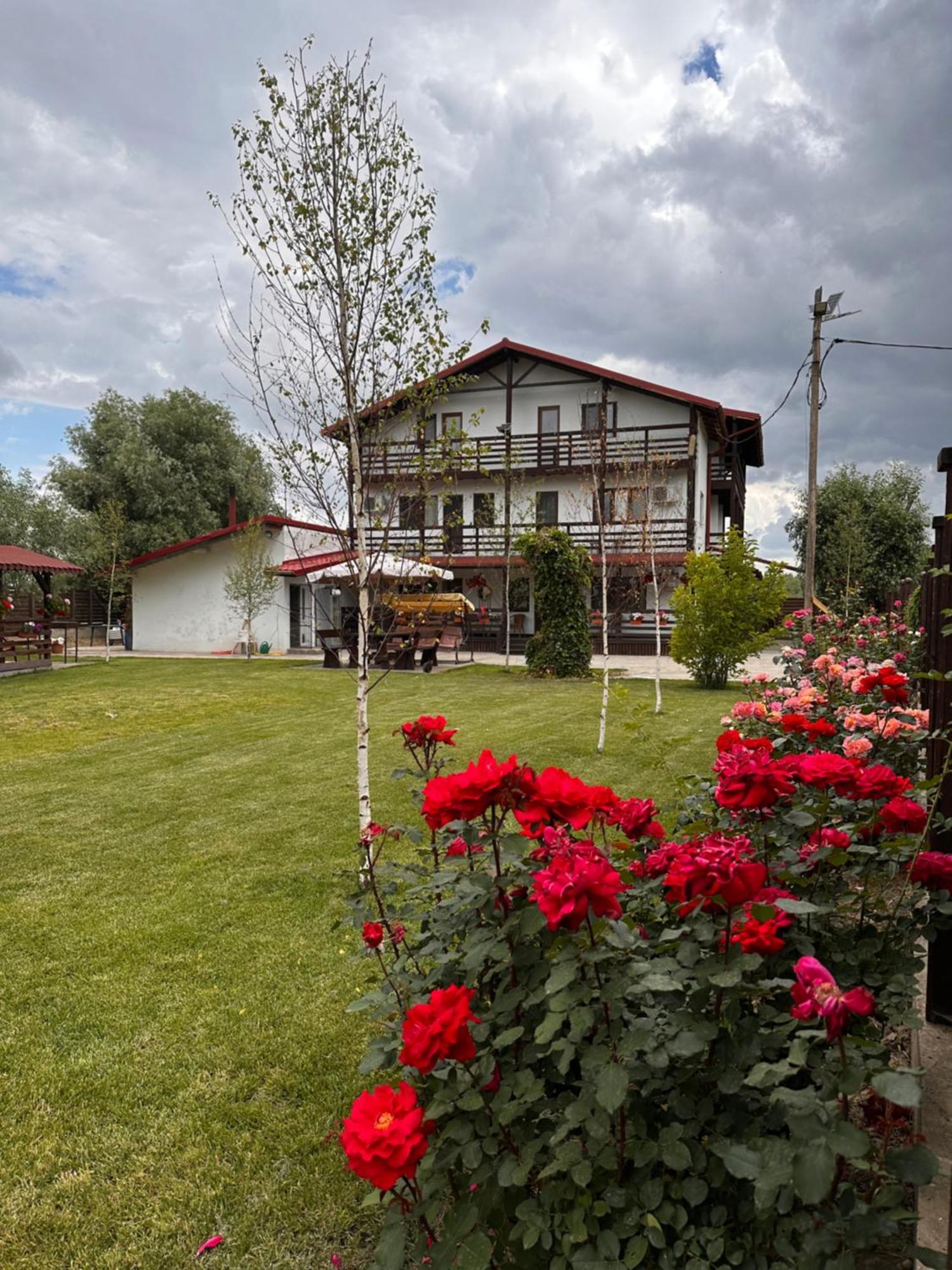 Hotel Casa Carp Calarasi Extérieur photo