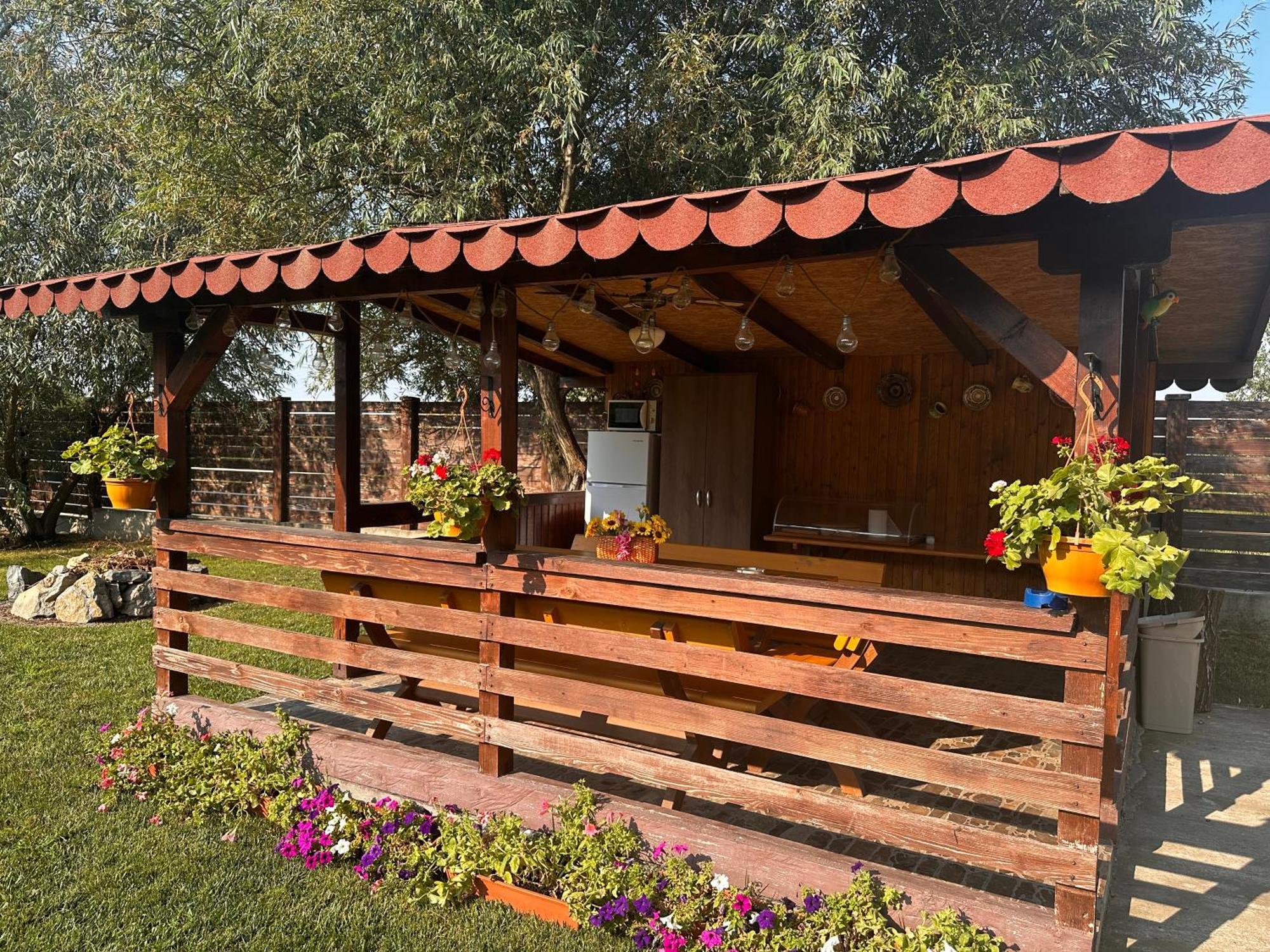 Hotel Casa Carp Calarasi Extérieur photo